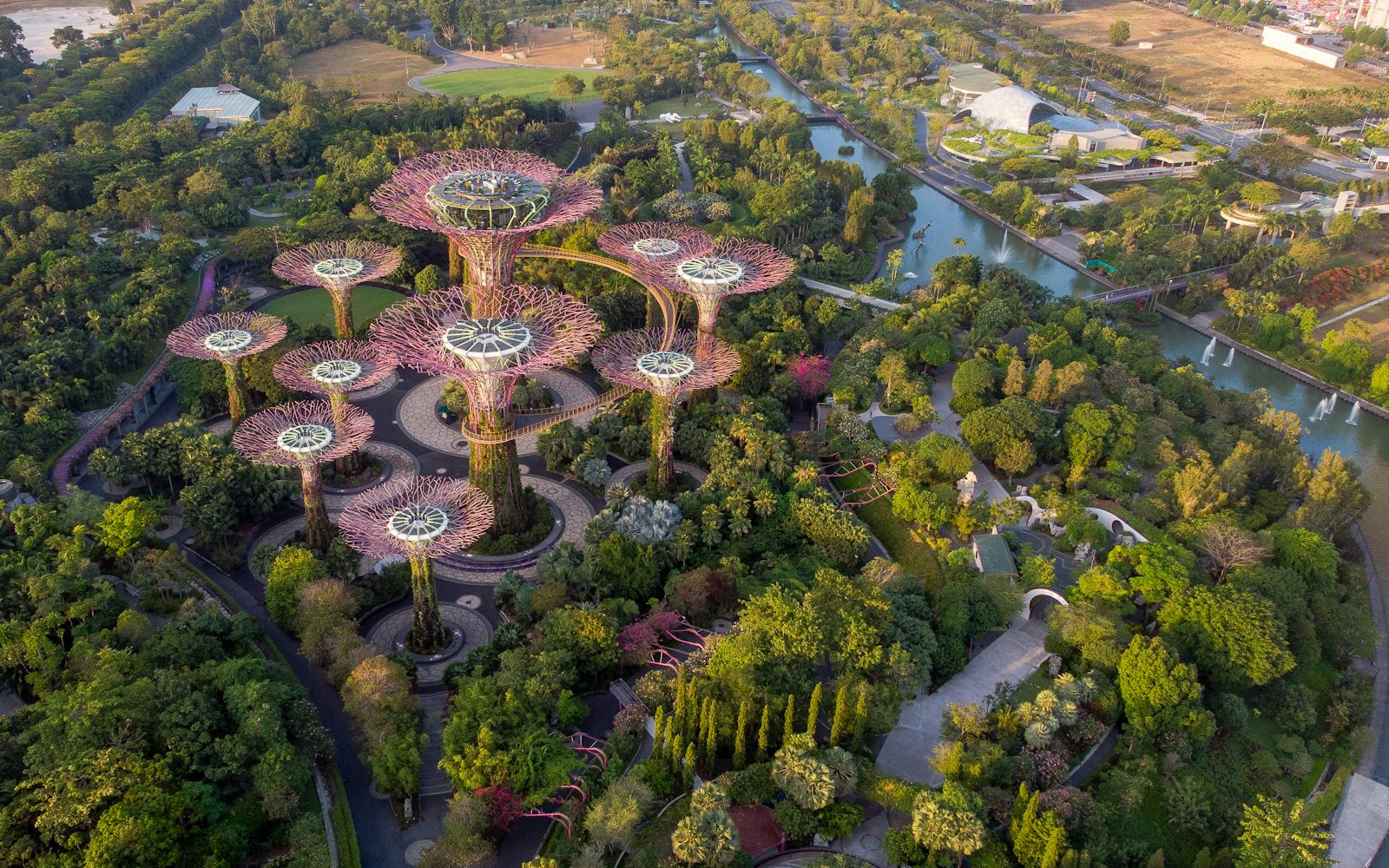 The Supertrees of Gardens by the Bay lit up against the Singapore skyline